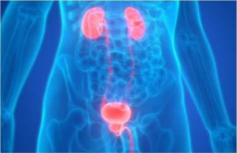 Genitourinary Cancer Management